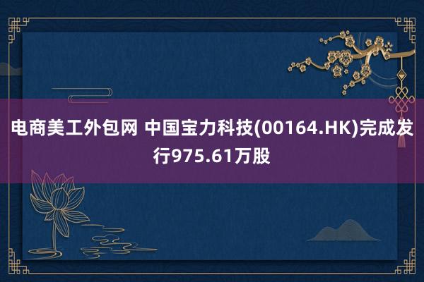 电商美工外包网 中国宝力科技(00164.HK)完成发行975.61万股